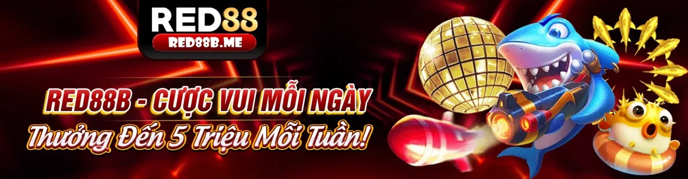 Vòng quay miễn phí và bonus